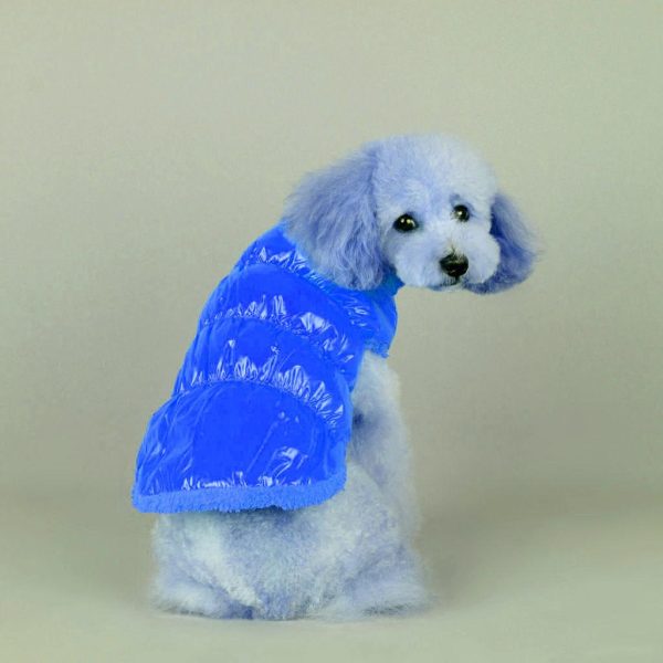 Maxbell Maxbell Pet Dog Puppy Cat Clothing Supplies Winter Warm Padded Coat Down Jacket Vest Apparel Outfit Blue XS Fashion