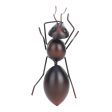 Maxbell Maxbell Ant Sculpture Wall Hanging Ant Ornament Garden Living Room House Decor S Online Hot Sale